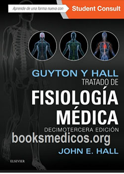 anatomia13